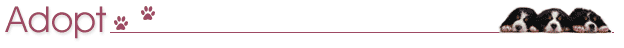 adopt_header.gif