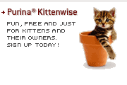 ca_kittenwisea.gif