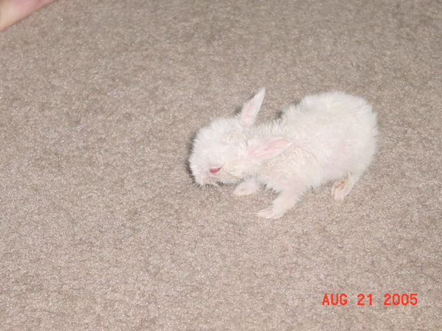 dsc01156.jpg