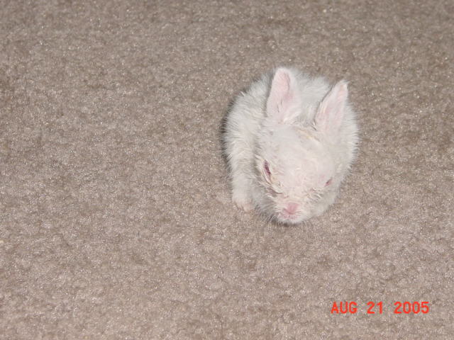 dsc01159.jpg