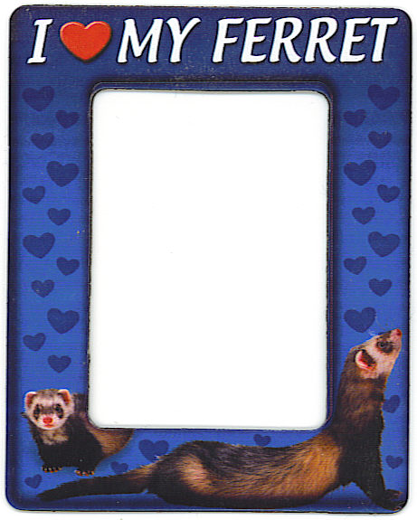ferretframe.jpg