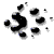 ferretprint.gif