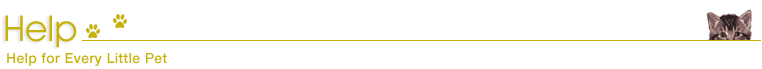 help_header2.gif