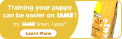 iams3.gif
