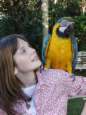 parrot2.jpg