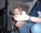 puppy2.jpg